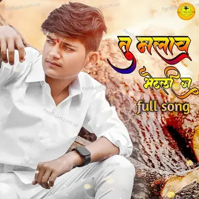 Tu Mlach Bhetli G - Raj Hiwale album cover 