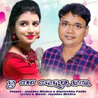 Tu Mo Dehera Chai - Jayadev Mishra album cover 