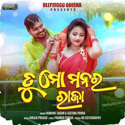 Tu Mo Manara Raja - Humane Sagar album cover 