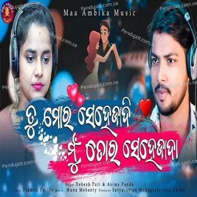 Tu Mora Sehezadi Mu Tora Sehezada - Debesh Pati album cover 