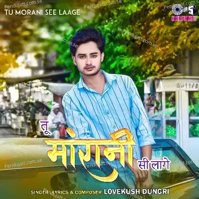 Tu Morani See Laage - Lovekush Dungri album cover 