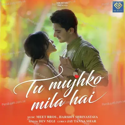 Tu Mujhko Mila Hai - Meet Bros album cover 