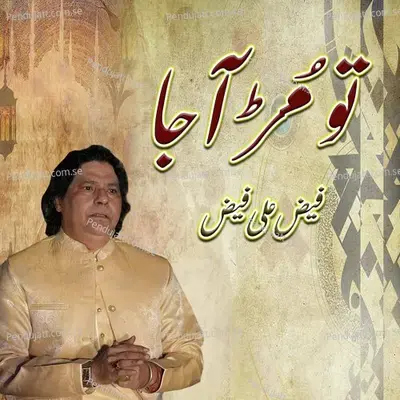 Tu Mur A Ja - Faiz Ali Faiz album cover 