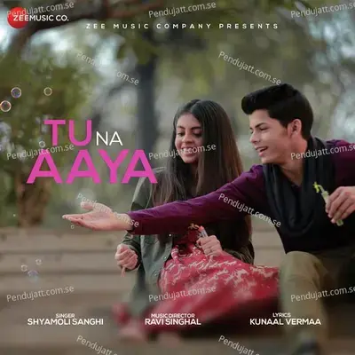 Tu Na Aaya - Shyamoli Sanghi album cover 