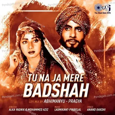 Tu Na Ja Mere Badshah - Alka Yagnik album cover 