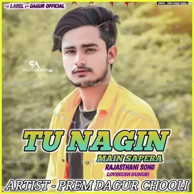 Tu Nagin Main Sapera - PREM DAGUR CHOOLI album cover 