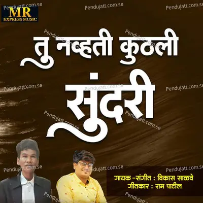 Tu Navhati Kuthali Sundari - Vikas Salve album cover 