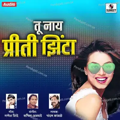 Tu Nay Preeti Zinta - Chandan Kamble album cover 