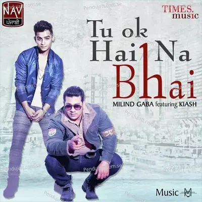 Tu Ok Hai Na Bhai - Millind Gaba album cover 