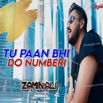 Tu Paan Bhi Do Numberi - Zamin Ali album cover 