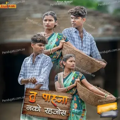 Tu Pahana Nako Rahajos - Rajesh Masmare album cover 