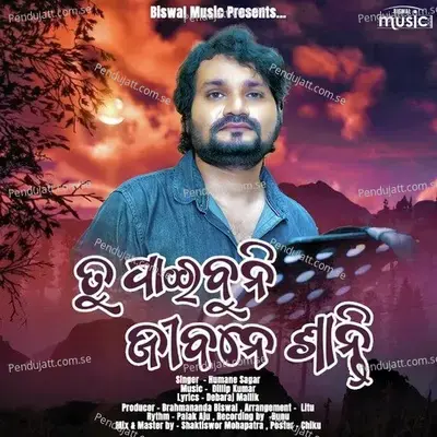 Tu Paibuni Jibane Shanti - Humane Sagar album cover 