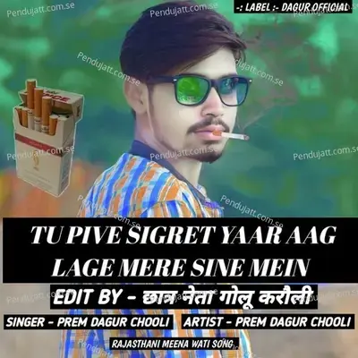 Tu Pive Sigret Yaar Aag Lage Mere Sine Mein - PREM DAGUR CHOOLI album cover 