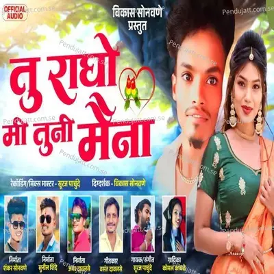 Tu Ragho Mi Tuni Maina - Suraj Pachunde album cover 