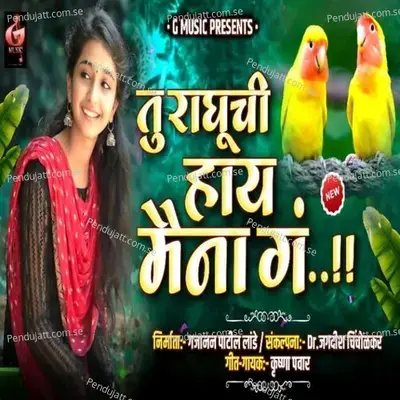 Tu Raghu Chi Ahhe Maina G - Krushna Pawar album cover 