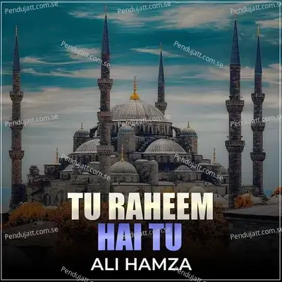 Tu Raheem Hai Tu - Ali Hamza album cover 