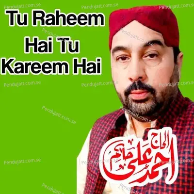 Tu Raheem Hai Tu Kareem Hai - Ahmed Ali Hakim album cover 