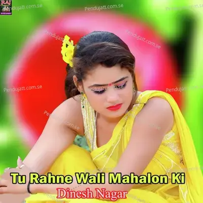 Tu Rahne Wali Mahalon Ki - Dinesh Nagar album cover 