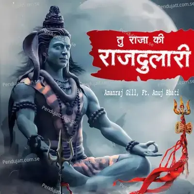Tu Raja Ki Rajdulari - Amanraj Gill album cover 
