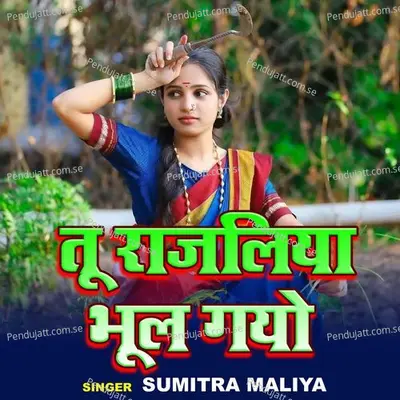 Tu Rajlaliya Bhul Gyo - Sumitra Maliya album cover 