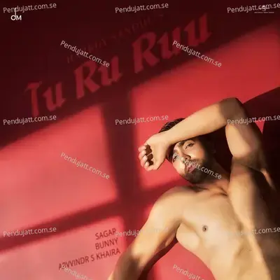 Tu Ru Ruu - Harrdy Sandhu album cover 