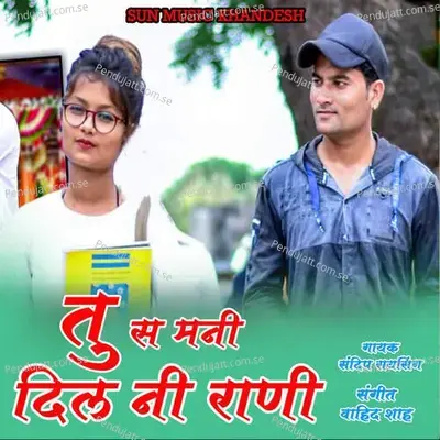 Tu S Mani Dil Ni Rani - Sandip Raysing album cover 