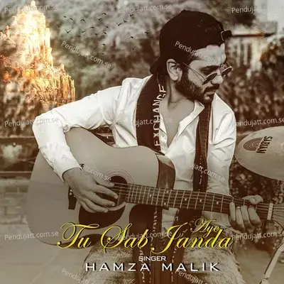 Tu Sab Janda Aye - Hamza Malik album cover 