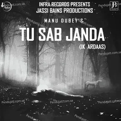 Tu Sab Janda - Manu Dubey album cover 