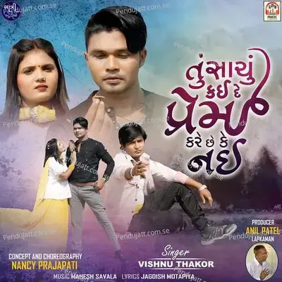 Tu Sachhu Kai De Prem Kare Chhe Ke Nai - Vishnu Thakor album cover 