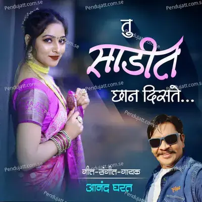 Tu Sadit Chhan Disate - Anand Gharat album cover 