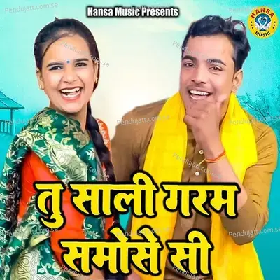 Tu Sali Garam Samose Si - Komal Chaudhary album cover 