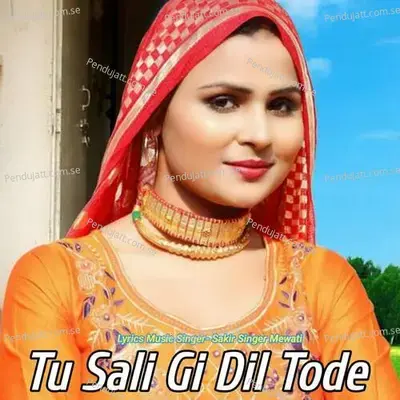 Tu Sali Gi Dil Tode - Sakir Singer Mewati album cover 