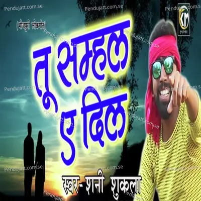 Tu Samhal E Dil - Shani Shukla album cover 