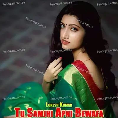Tu Samjhi Apni Bewafa - Lokesh Kumar album cover 
