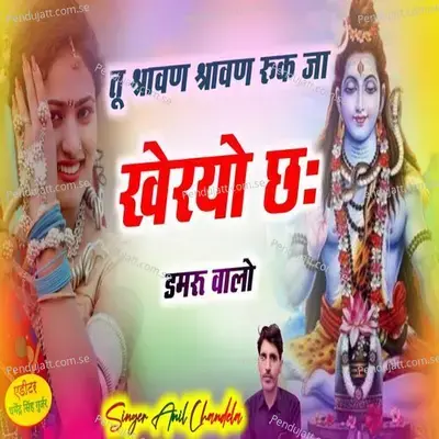 Tu Savan Savan Rukja Khro Cho Damru Valo - Anil Chandela album cover 