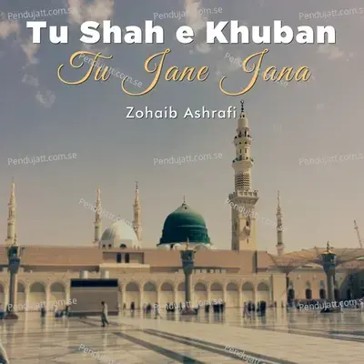 Tu Shah E Khuban Tu Jane Jana - Zohaib Ashrafi
