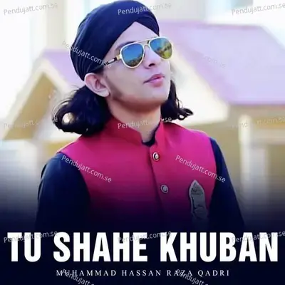 Tu Shahe Khuban - Muhammad Hassan Raza Qadri album cover 