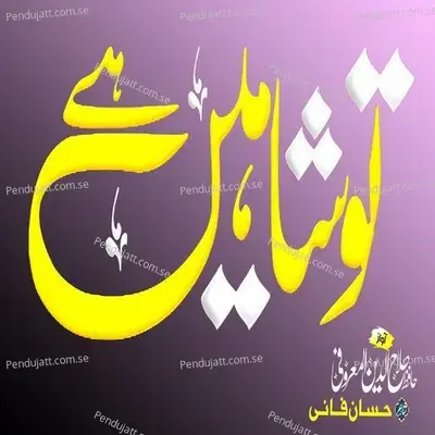 Tu Shaheen Hai - Hafiz Salahuddin Al Maroofi album cover 