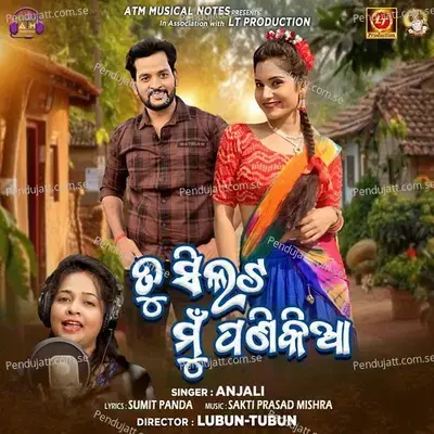 Tu Silata Mu Panikia - Anjali album cover 