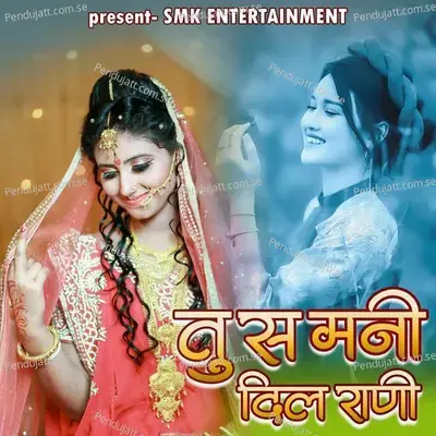 Tu Ss Mani Dil Rani - Sandip Raysing album cover 