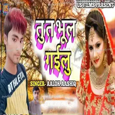 Tu Ta Bhul Gailu - Aalok Aashiq album cover 