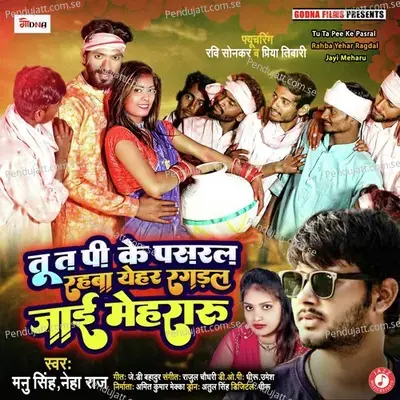 Tu Ta Pee Ke Pasral Rahba Yehar Ragdal Jayi Meharu - Manu Singh album cover 