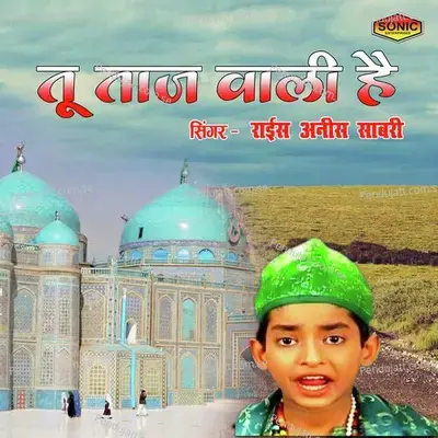 Tu Taj Wali Hai - Rais Anis Sabri album cover 