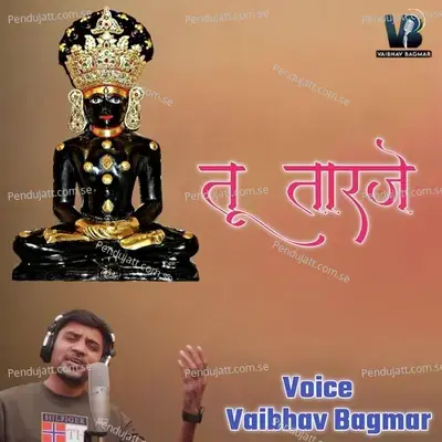 Tu Tarje - Vaibhav Bagmar album cover 