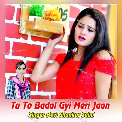 Tu To Badal Gyi Meri Jaan - Devi Shankar Saini album cover 