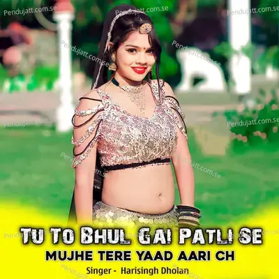 Tu To Bhul Gai Patli Se Mujhe Tere Yaad Aari Ch - Harisingh dholan