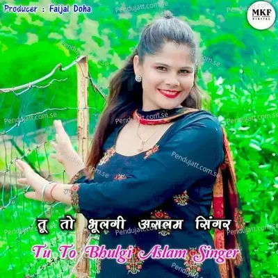 Tu To Bhulgi Aslam Singer - Aslam Singer Deadwal album cover 