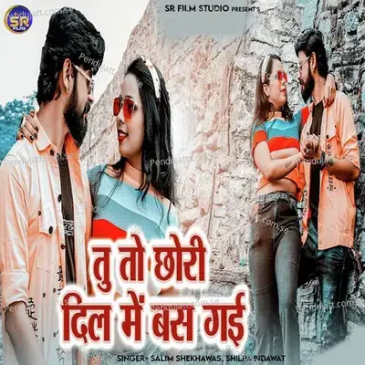 Tu To Chori Dil Me Bas Gai - Salim Shekhawas album cover 