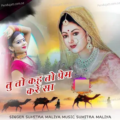 Tu To Kehto Prem Karey Sa - Sumitra Maliya album cover 