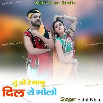 Tu To Re Manu Dil Ro Bholo - Sahil Khan album cover 